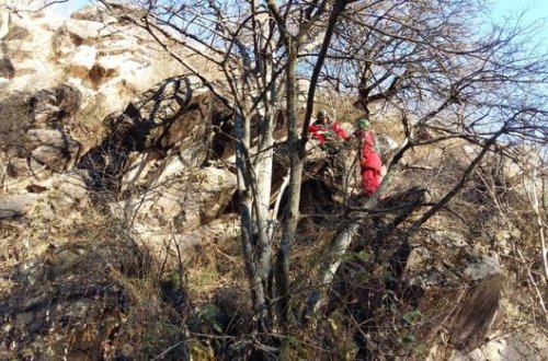 ANAMA-dan növbəti antiterror əməliyyatı: Zəngilanda 275 kq plastik partlayıcı maddə zərərsizləşdirildi - FOTO