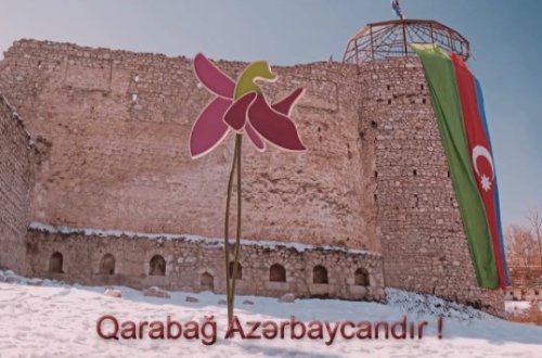 Şəhidlərimiz əfsanəvi Xarı bülbülü Zəfər rəmzinə çevirdilər, qanları ilə ona can verdilər! - VİDEO