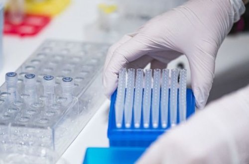 Вирусолог оценил данные о новой смертельной болезни в Конго