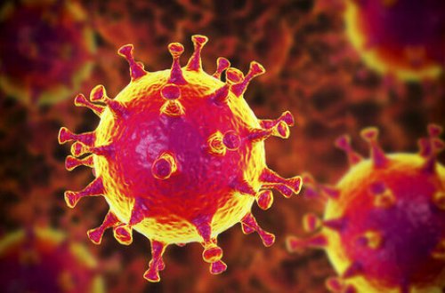 Koronavirusu məhv edən təbii vasitə TAPILDI