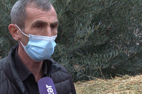 Şuşa sakini doğma yurda kiçik biznesi ilə qayıdacaq - VİDEO