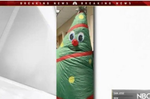 Şaxta babanın şam ağacından hazırlanmış paltarı 43 nəfəri virusa yoluxdurdu