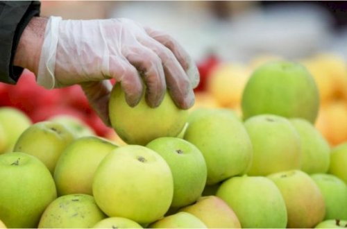 Azərbaycanda ərzağın qiyməti ilə bağlı son durum - Video