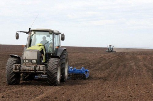 Füzulidə 28 min hektardan çox ərazidə buğda səpilib