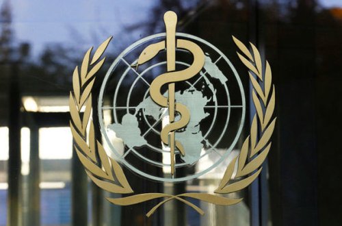 ВОЗ: Мутировавший вариант коронавируса обнаружили в 22 странах Европы