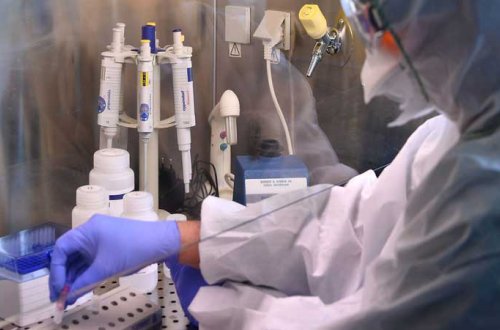 Azərbaycanda daha 27 nəfər koronavirusdan öldü: 685 yeni yoluxma - FOTO