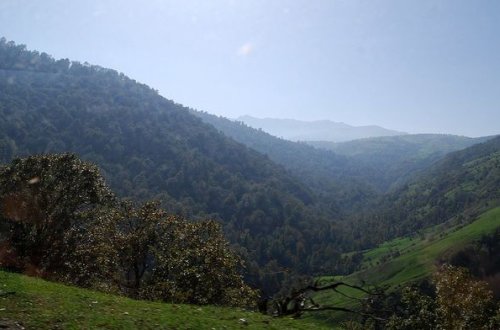 Məcburi köçkünlərin doğma yurdlarına qayıtması necə müəyyənləşdiriləcək? - RƏSMİ