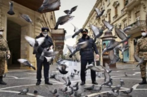 Karantin rejimi ilə bağlı vacib xəbər - 4 rayon...