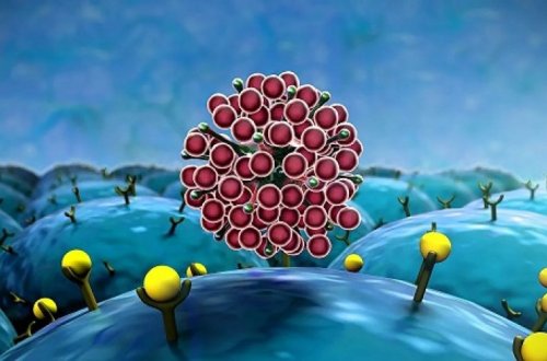 Ученые раскрыли происхождение коронавируса