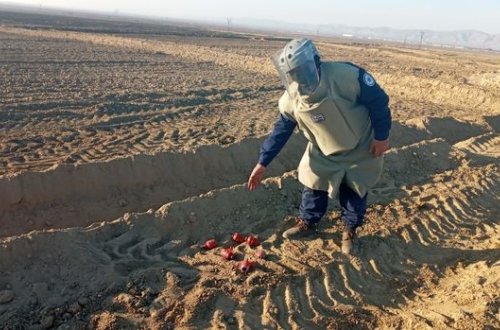 ANAMA və DİN-dən əməliyyat - FOTO