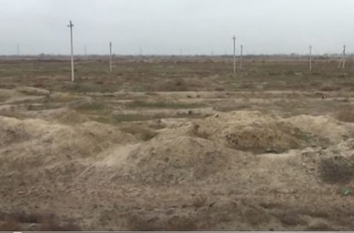 Şərqin unudulmaz Salyan döyüşü - VİDEO