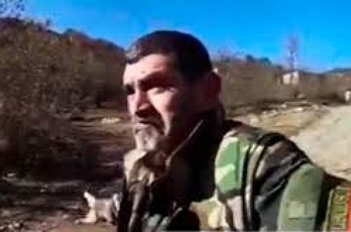 Ermənilərdən misli görünməmiş vandallıq: Kəlbəcərdə ev heyvanlarını güllələdilər - VİDEO