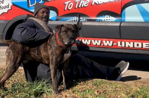 Heyvanları xilas etmək üçün həyatını təhlükəyə atdı