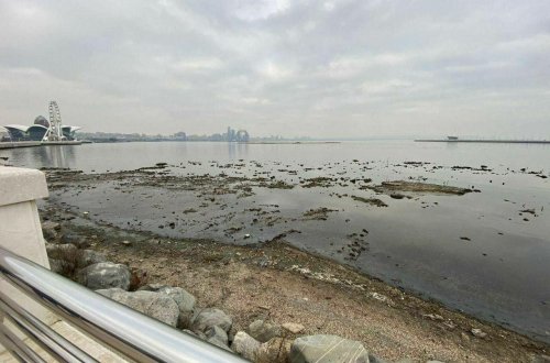 Xəzərin səviyyəsinin azalmasına səbəb olan amillər açıqlandı