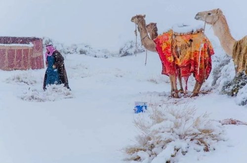 Saxara səhrasına qar yağıb - FOTO/VİDEO