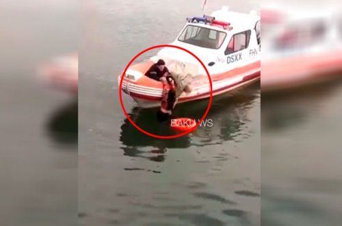 Bulvarda özünü dənizə atan qız xilas edildi - VİDEO