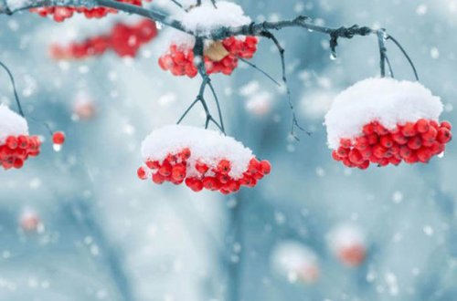 Прогноз погоды в Азербайджане на 20 января