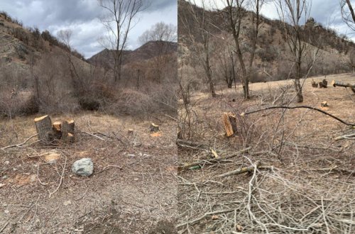 Nazir müavini: “Kəlbəcərdə ermənilərin törətdiyi ekoloji terror ürəkağrıdıcıdır” - FOTO/VİDEO