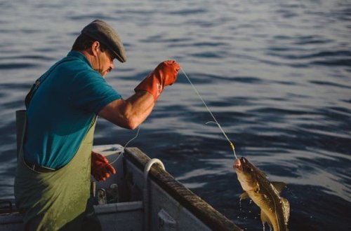 Qanunsuz ov edən və ov məhsullarını satan şəxslər cəzalandırıldı