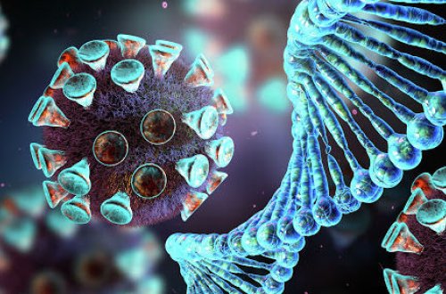 Ученые выяснили причину повторного заражения COVID-19 при наличии антител