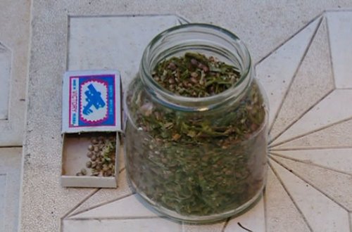 В Гяндже у наркоторговца по прозвищу 