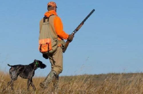 В Азербайджане принято решение об открытии сезона охоты