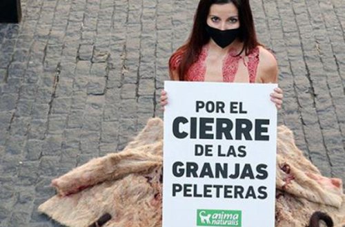 Qız küçədə lüt soyunub, etiraz etdi - FOTO