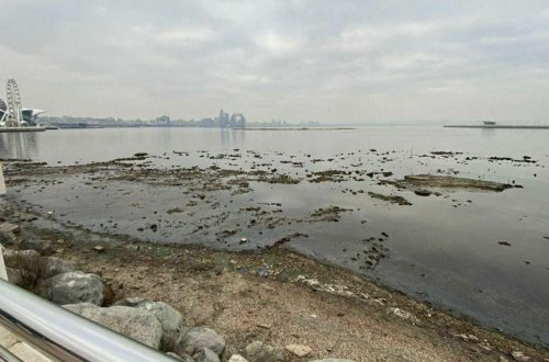 Xəzər dənizinin suyu sürətlə azalır - Səbəb?