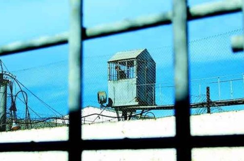 Şəhidlərin həbsdə olan qohumları azadlığa buraxıldı