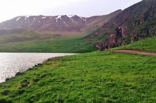 Neçə hektar örüş sahəsi bələdiyyə mülkiyyətinə qaytarılıb?