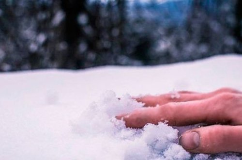 В России мужчина замерз насмерть, пока полицейские мешали волонтеру искать его