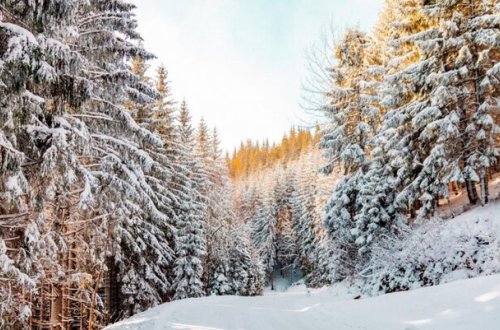 Rayonlara qar yağacaq