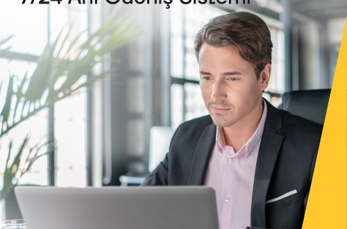 Ani Ödənişlər Sistemi biznes müştərilər üçün 24/7 rejimində ilk olaraq Yelo Bankda