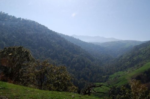 İşğaldan azad olunmuş ərazilərdə ekoloji vəziyyətlə bağlı məlumat verilir - CANLI YAYIM