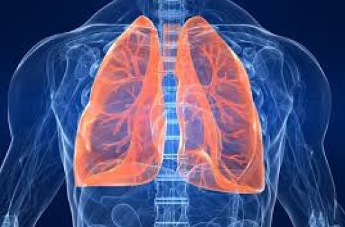 Koronavirusun ciyərlərə necə təsir etdiyi məlum oldu