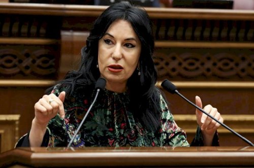 “Əliyevin dediyi kimidir, gorbagor oldu” - Zöhrabyan