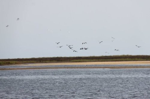 Завтра вход в национальные парки будет бесплатным - ФОТО