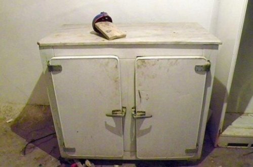 Anasını öldürüb, 10 il soyuducuda saxladı