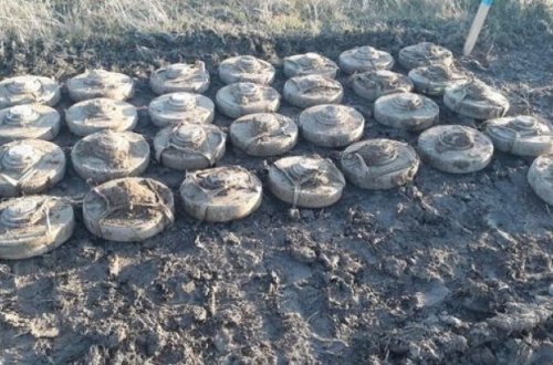 Füzulidə düşmənin basdırdığı minalar aşkarlandı - FOTO