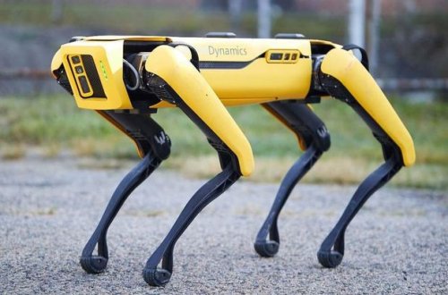 Robotun məharəti hər kəsi heyran etdi - VİDEO