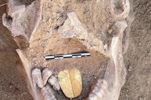 В Египте найдена 2000-летняя мумия с золотым языком