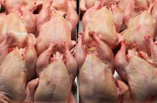 Çindən Rusiyaya ixrac edilən quş ətində koronavirus tapıldı