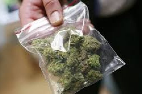 Ağstafada narkotik satan qardaşlar saxlanılıb-FOTO