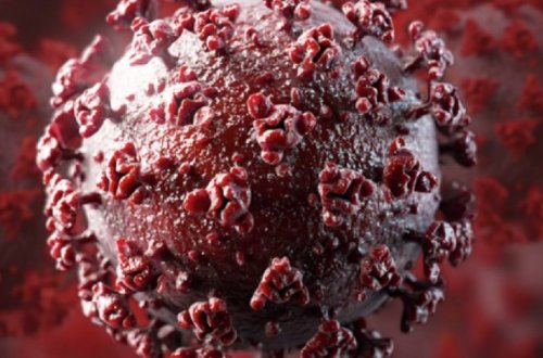 Исследователи не нашли различий в формировании антител к коронавирусу у мужчин и женщин