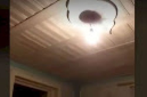 Azərbaycanda zəlzələ anı - Video