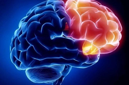 DİQQƏT! Beyini aktivləşdirməyin ən yaxşı yolu açıqlanıb