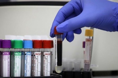 Названы сроки 