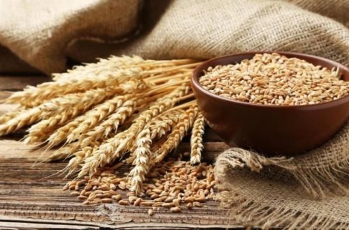 Buğda və un idxalının ƏDV-dən azad olunma müddətinin niyə artırıldığı məlum olub