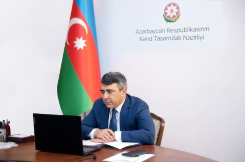 Kənd Təsərrüfatı naziri onlayn müşavirə keçirdi – FOTO