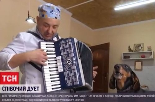 İtlə birgə mahnı oxuyan baytar həkim sosial şəbəkələrin ulduzuna çevrildi - VİDEO